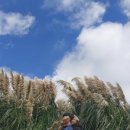 비브레이브(주) 이미지