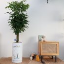 행운행정사사무소 이미지