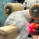 위런한방재활동물병원 이미지