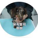 365 신원당 동물병원 이미지