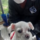 인동20길-9 이미지