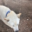 다혜-목장 이미지