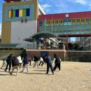 풍암초교 | 2023 찾아가는 뉴스포츠교실 후기 사진전 - 풍암초등학교
