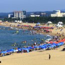 &#34;파라솔 사겠습니다&#34;…양양서도 공무원 사칭 사기 시도 이미지