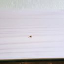 메디의원 이미지