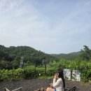 블랙트리하우스 | 서울근교펜션영흥도펜션글램핑추천블랙트리하우스