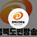 군위군청 이미지