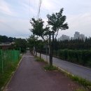 비래골길 이미지