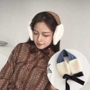 플라이퍼