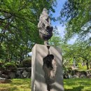 신치현 상록수 이미지