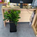 파평면사무소 앞 이미지