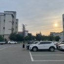 한입두잎 분평점