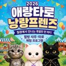 협동조합마을공방 사이 | [철원 가볼 만한 곳] 2026 철원 여저페 총정리 애랑타로 참가 🔮