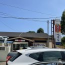 미담애견샵 | 강아지랑 동해여행 2