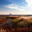 순천고들빼기영농조합법인 이미지