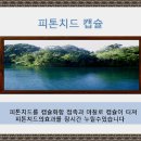 에이스크린 - 제주시 신촌남1길 81 | 에이스크린