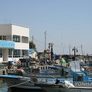 신리태양광발전소 이미지