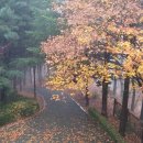 호수팬션 이미지