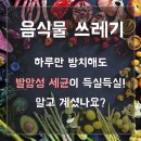 춘천렌탈