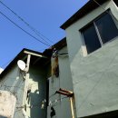 우암골목시장 이미지