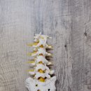 온누리마취통증의학과의원 이미지