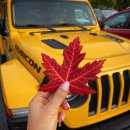 모터스DW | 인플루언서 광고사례 좋아하는 브랜드 모델 되는 영광