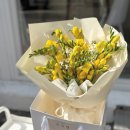 사림동104 | 창원 사림동 꽃집 추천, 향기 가득한 프리지아 꽃다발 선물