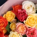 유산길50 이미지