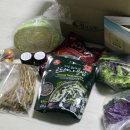 푸른솔농장5 이미지