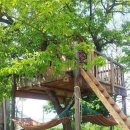 라온디자인