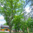 읍내6구 이미지