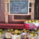 형제농장-2 이미지