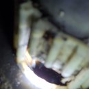 우리들노인요양원 이미지