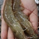 달산상회