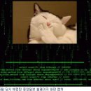 대한 뉘우스4 [﻿중앙일보 홈페이지 '고양이 해킹사건'은 북한 소행] 이미지
