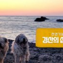 주식회사 부령 이미지