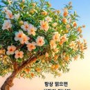 미나리슈퍼 이미지