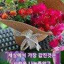 행복한하루 이미지