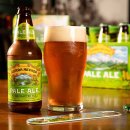 BROWN BEER(브라운 비어)