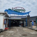 장날 | 제주 세화오일장 먹거리부터 장날 분위기까지 솔직후기