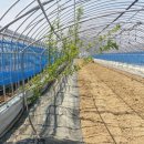 무지개농장2 이미지