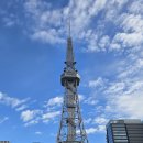한국맥도날드(유) 서울교대점 | 나고야 버스 투어 후기, 다카야마와 시라카와고를 한 번에 볼 수 있는 유투어버스🚌