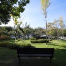 여주게임장 이미지