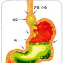생활슈퍼 이미지