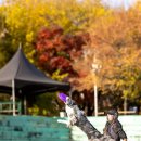 윤선생 애견훈련소 이미지