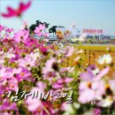 치문초등학교 | 미리 다녀온 김제지평선축제 &amp; 김제 1박2일 가을여행