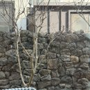 카페구황동 - 52991 | 경주 구황동 이상적 조용하고 분위기 좋은 로스터리 카페 내돈내산 후기