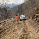 별드림캠핑장 이미지