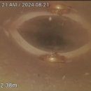 반지세탁소 이미지