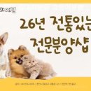 천안 강아지분양 고양이분양 나라애견본점 | 천안 강아지분양 고양이분양 나라애견 본점 진정한 가족이 되어줄 아이 소개
